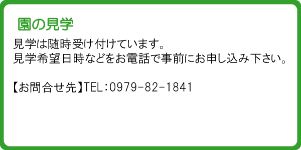 園の見学